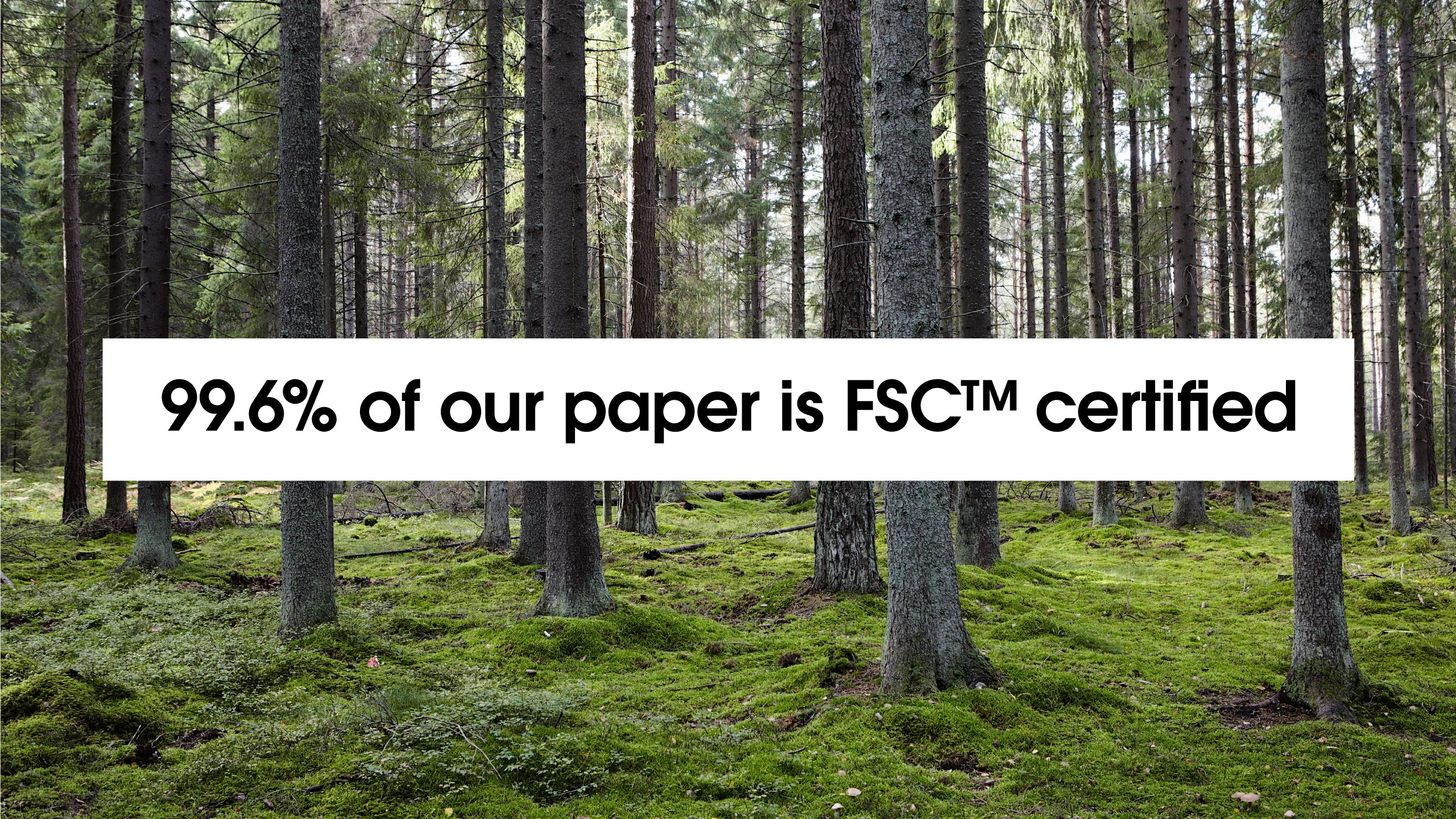 '99.6% of our paper is FSC(TM) certified'- with background image of forest.